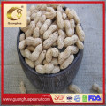 Roasted Peanut in Shell Good Quality for Sale